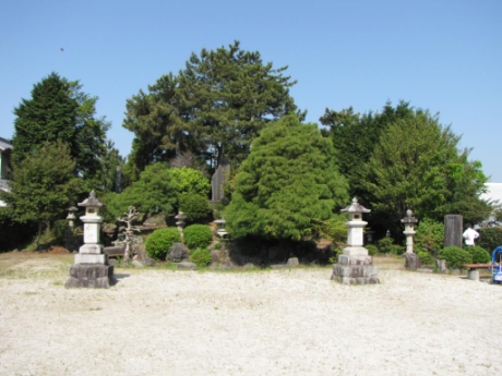 画像5